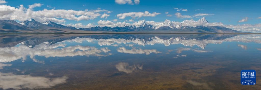 ?????? [8? 1? ?? ??/?? ??: ???]