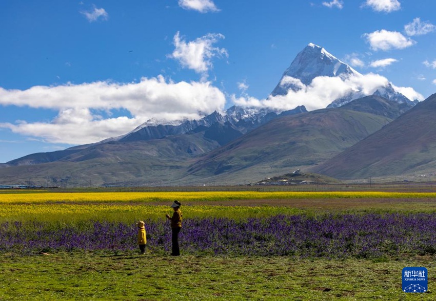 ?????? ??? ?????? [8? 1? ??/?? ??: ???]