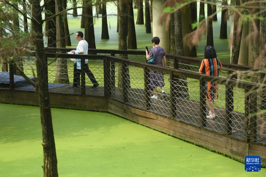 ????? ?? ? ???? ????. [9? 4? ??/?? ??: ???]