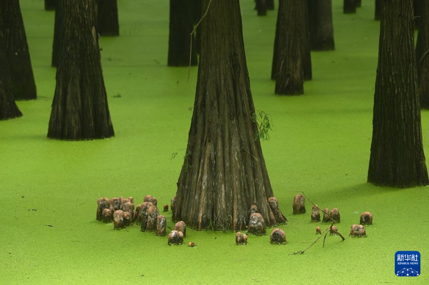 ?? ?? ?? ?? ?? ??? ?? ?? [9? 4? ??/?? ??: ???]