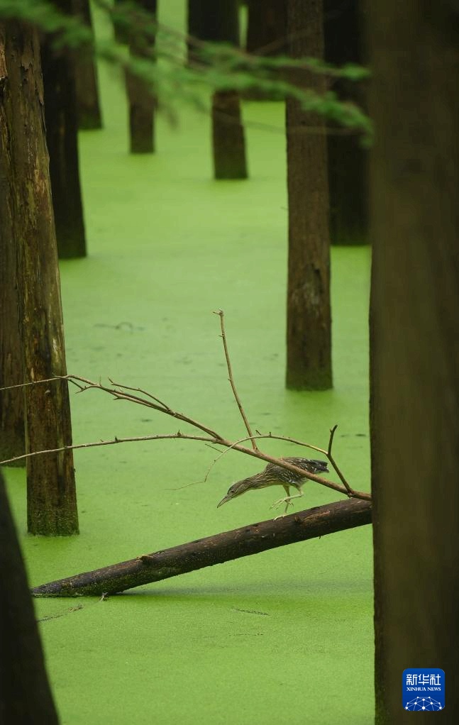 ???? ? ??? ?? ??? ??? ???. [9? 4? ??/?? ??: ???]