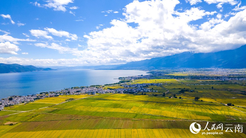 ??? ???? ???? ?? [?? ??: ???]