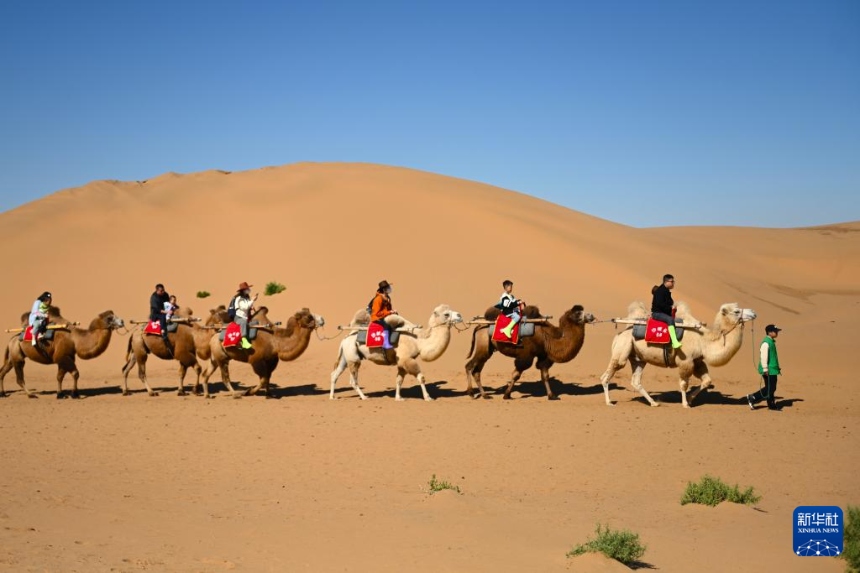 ???? ??(寧夏) ???(中衛(wèi))? ????(沙坡頭)????? ??? ??. [10? 2? ??/?? ??: ???]