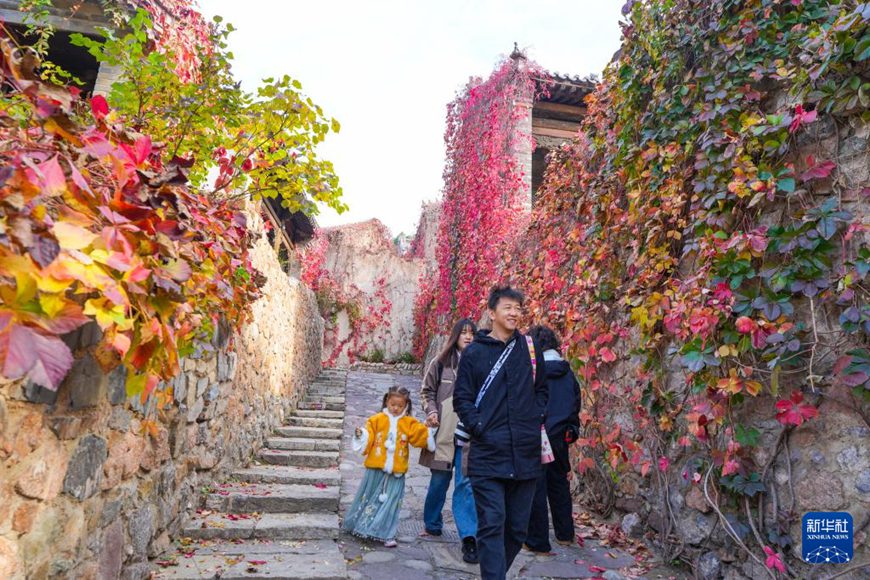 ??????? ?? ???? [10? 20? ??/?? ??: ???]