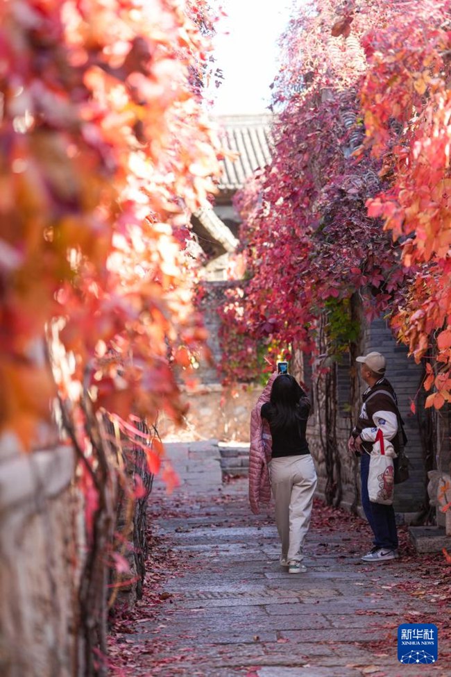 ????? ?? ?? ???? ???. [10? 20? ??/?? ??: ???]