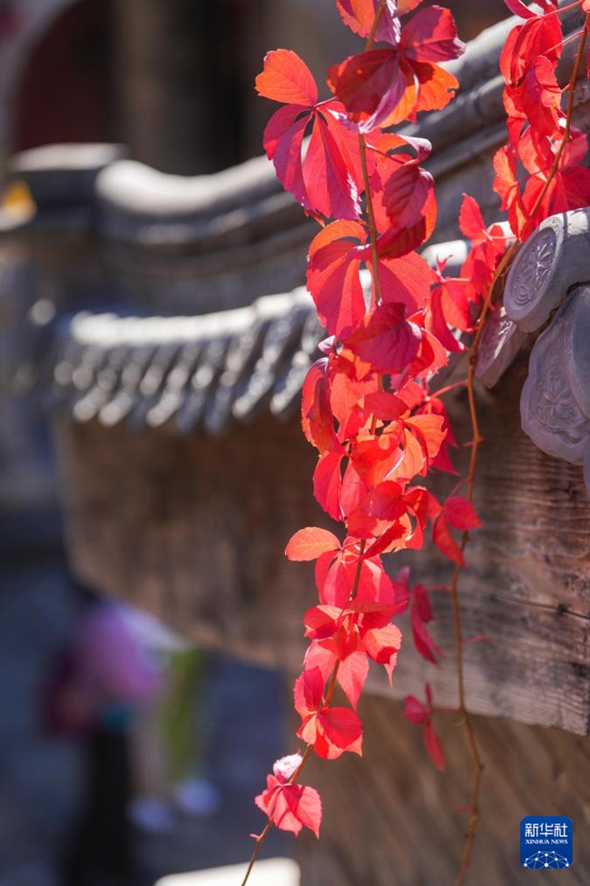 ???????? ??? ?? [10? 20? ??/?? ??: ???]