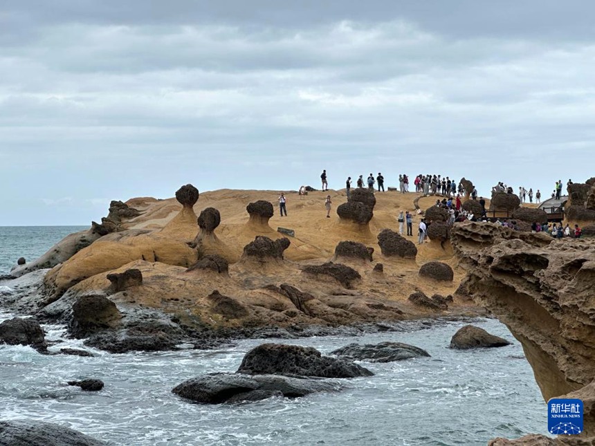 ????? ??? ???????? ?? ??? ???? ??. [10? 22? ??/?? ??: ???]