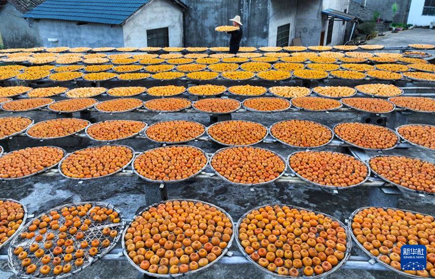 ?????? ???(嘉會)? ??(秧家)??? ? ??? ??? ????. [10? 25? ?? ??/?? ??: ?????]