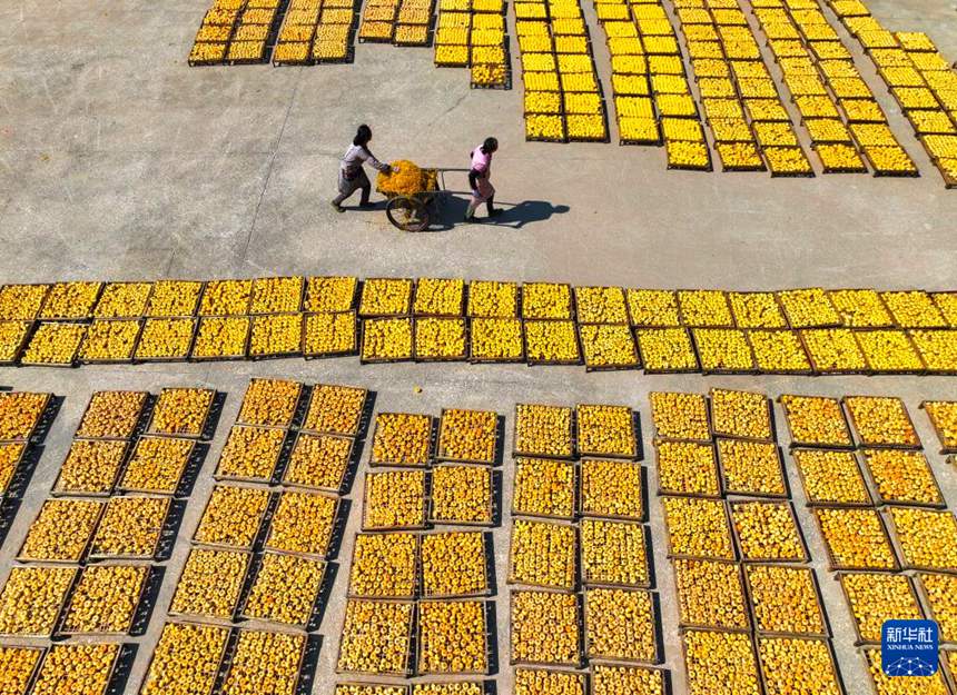 ??? ??(滿塘)???? ? ?? ??? ????. [10? 26? ?? ??/?? ??: ?????]