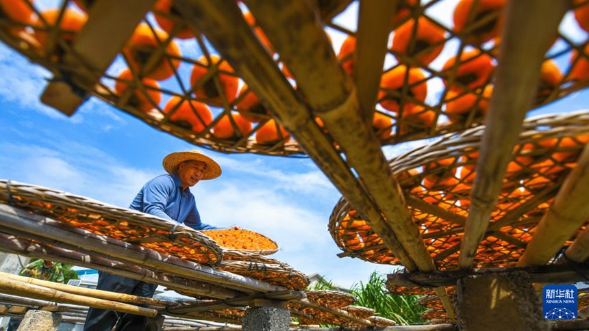 ?????? ???? ????? ? ??? ??? ????. [10? 26? ??/?? ??: ?????]