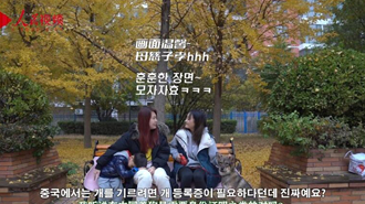 ? ??? ??, ?? ? ??(?)