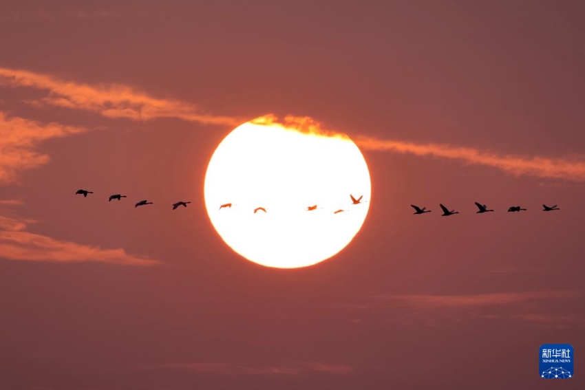 ???? ??????? ?????. [11? 12? ??/?? ??: ???]