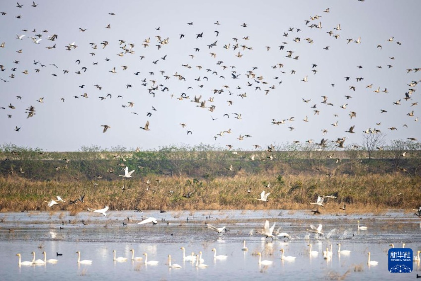 ??????? ??? ?? [11? 12? ??/?? ??: ???]