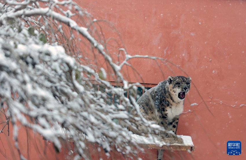 ??????? ????? ???? ??? ?? ??. [11? 24? ??/?? ??: ???]