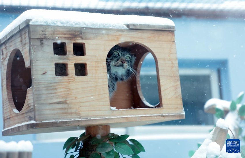 ????????? ????? ? ?? ?? ???? ??? ?? ???? ??. [11? 24? ??/?? ??: ???]