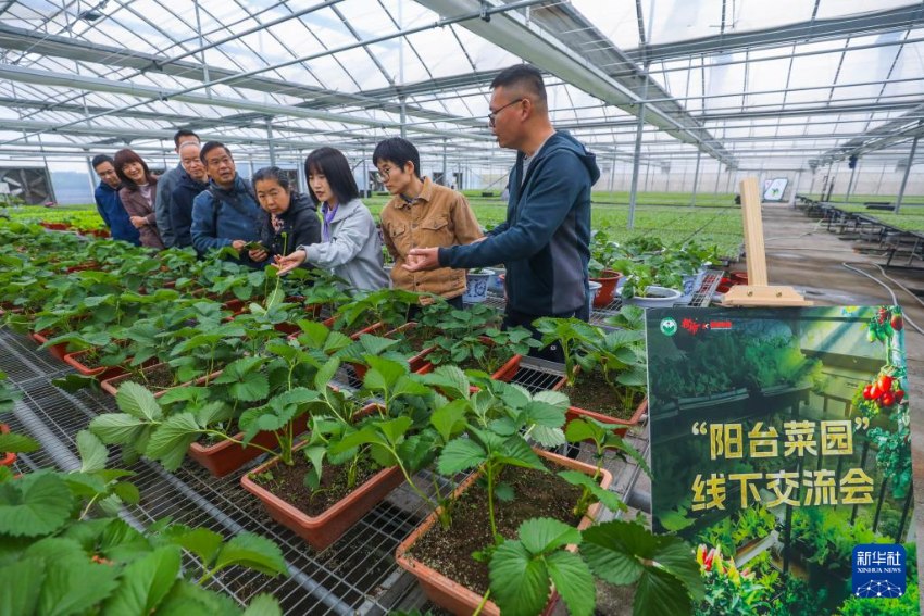 ??? ?? ??? ???? ?????? ??? ????? ‘??? ??’ ?? ???? ??? ?? ?? ???? ????. [11? 18? ??/?? ??: ???]