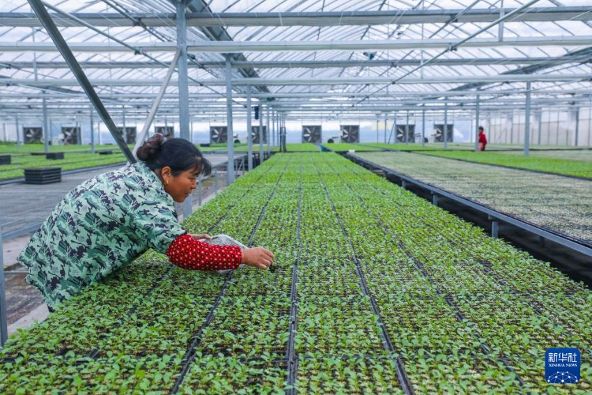 ??? ?? ????? ??? ‘??? ??’ ??? ??? ??? ??? ??. [11? 18? ??/?? ??: ???]