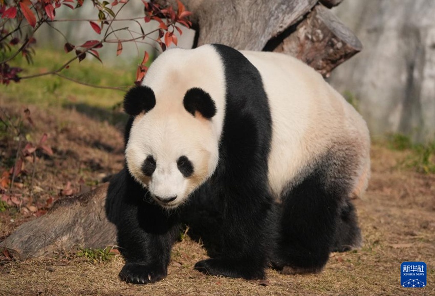 ?????? ‘??’? ??? ?? ?????? ??. [12? 1? ??/?? ??: ???]