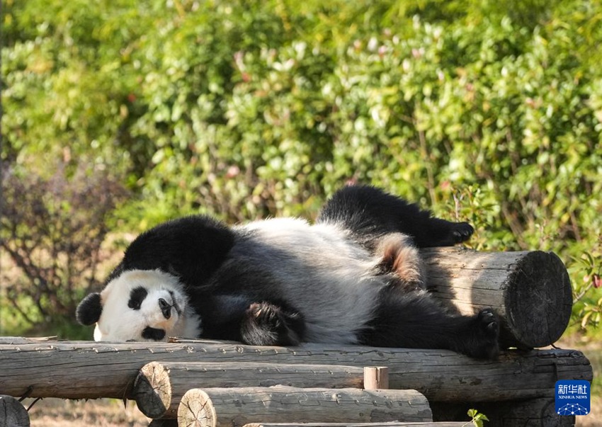 ?????? ‘??’? ??? ?? ??. [12? 1? ??/?? ??: ???]