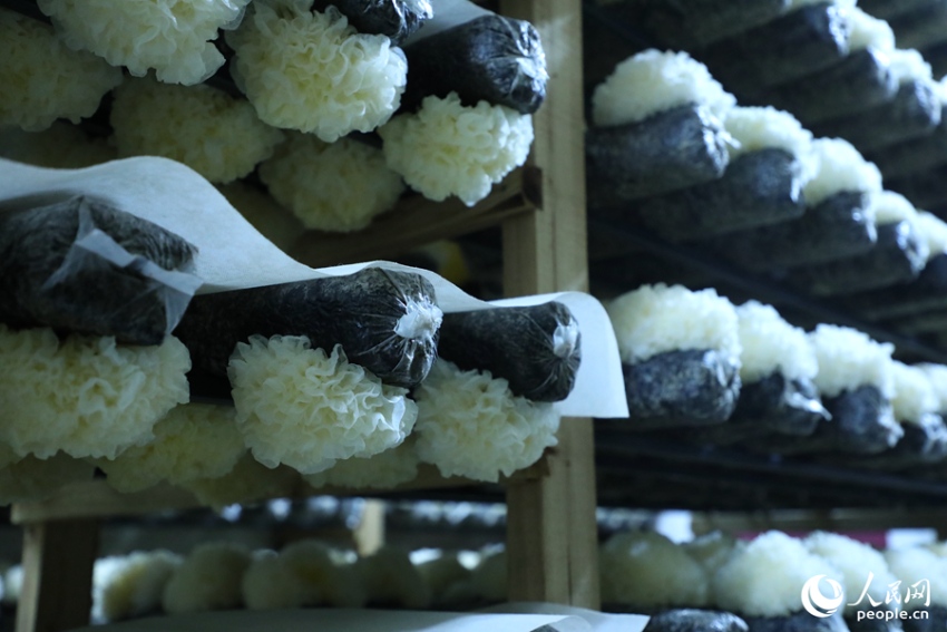 ??????? ???? ????? [?? ??: ???]