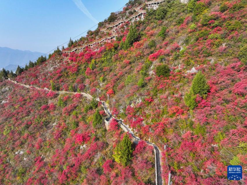 ????? ??? ??? ?????? ????. [12? 18? ???? ??/?? ??: ???]