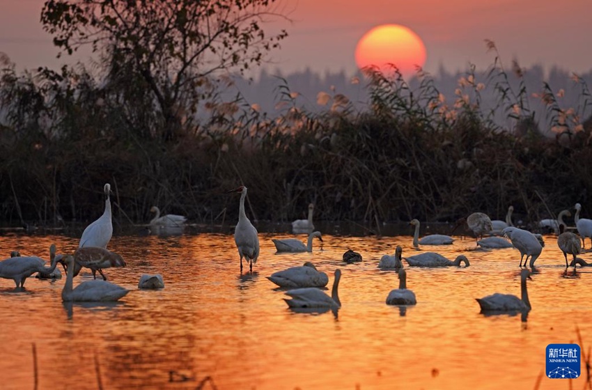 ???? ? ?? ?? ??? ??? ???. [12? 17? ??/?? ??: ???]