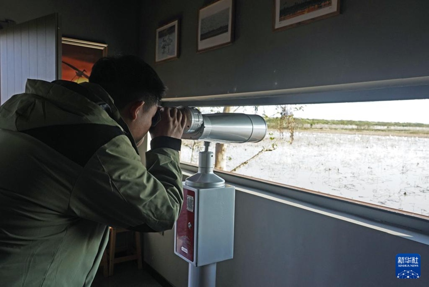 ???? ??? ? ??? ???? ????? ????. [11? 27? ??/?? ??: ???]