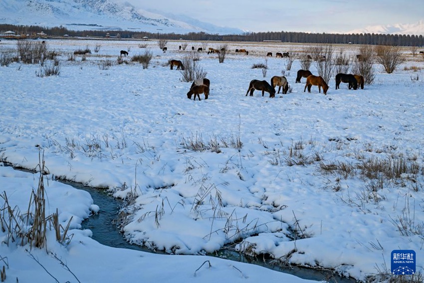 ??? ?????? [12? 22? ??/?? ??: ???]