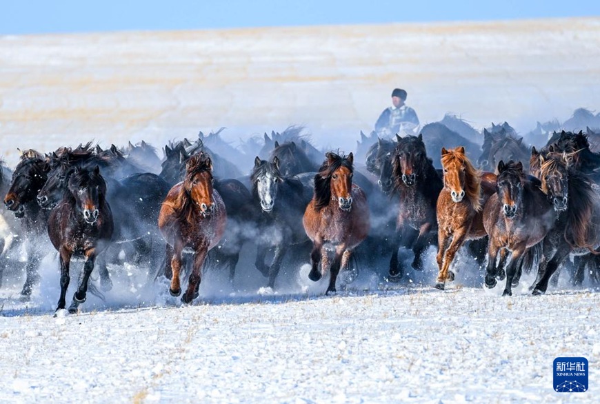 ??????? ???? ???? ?? ????. [12? 12? ??/?? ??: ???]