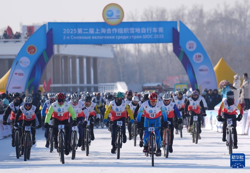 ???? ?? ?? [1? 11? ??/?? ??: ???]