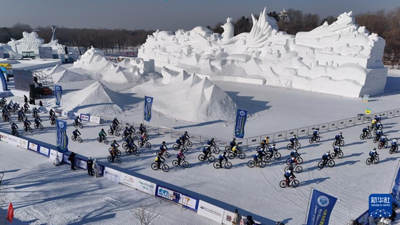 ???? ?? ?? [1? 11? ?? ??/?? ??: ???]