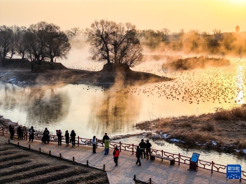 ????, ????? ‘????’? ?? ????