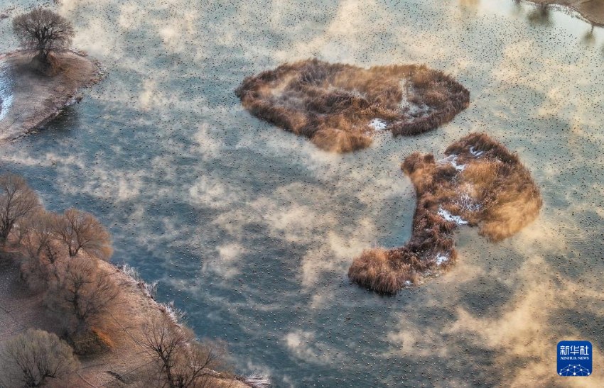 ???? ???? ‘????’ ?? [1? 11? ?? ??/?? ??: ???]