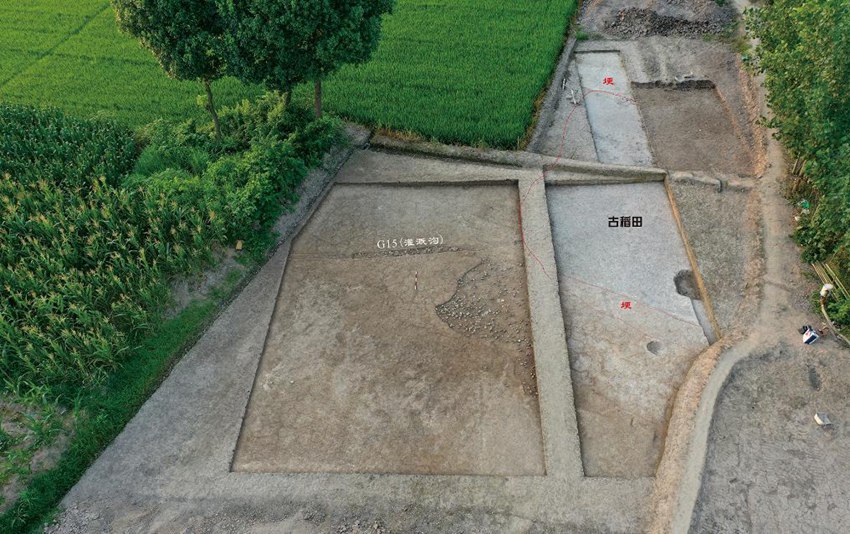 ??? ??? ?? ? ??? ??? ?? [?? ??: ???]