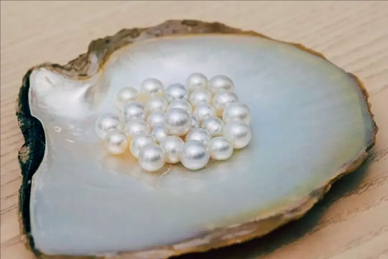 ????? ??? ?? ??? [?? ??: ???(劉玄)]