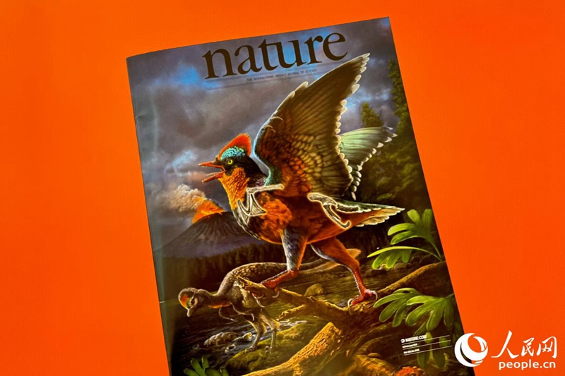 ????? ?? ?? ??? ????? ‘???’? ????. [?? ??: ???]