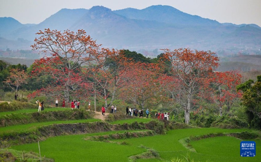 ????? ??? ???? ???? ???? ??. [2? 22? ??/?? ??: ???]