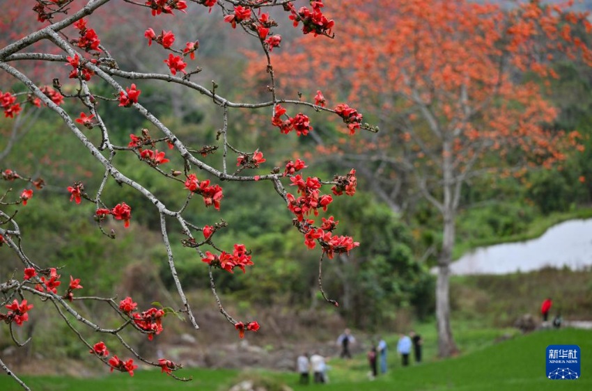 ??? ??? ??? [2? 22? ??/?? ??: ???]