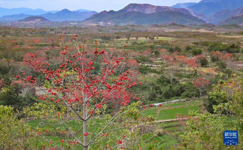 ??? ??? ??? [2? 22? ??/?? ??: ???]