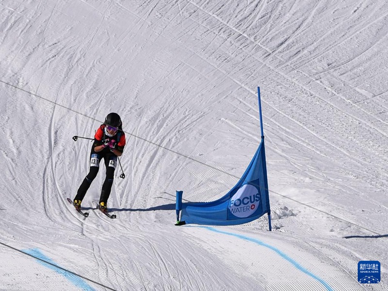 ???? ?? ??? ?? ???. [3? 3? ??/?? ??: ???]