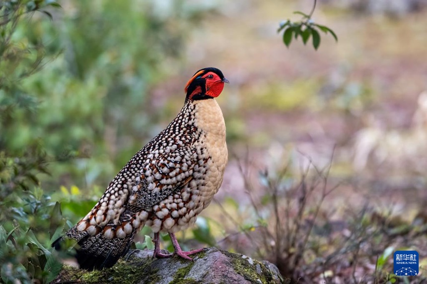 ??? ???? ??????? ??? ?????? [3? 9? ??/?? ??: ???]