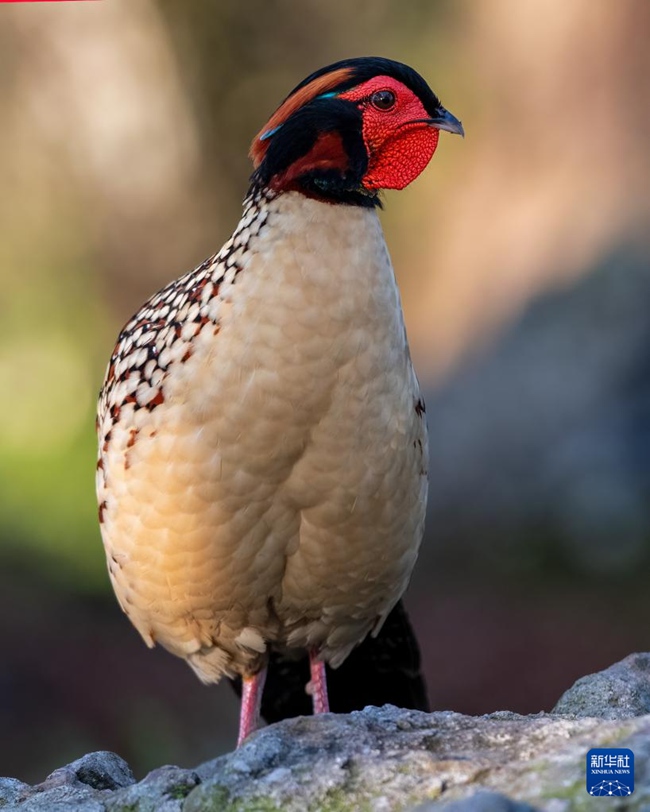 ??? ???? ??????? ? ??? ??????? ??? ?? ??. [3? 8? ??/?? ??: ???]