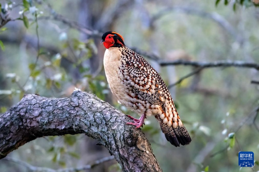 ??? ??? ??? ?????? ??? ??