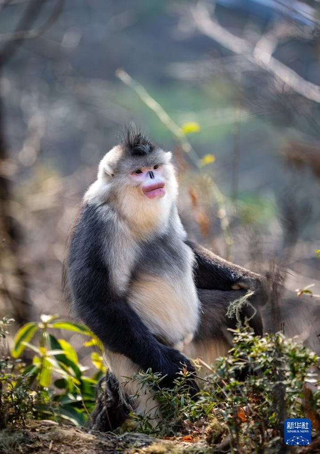 ????? ??? ?????? ???????? [3? 10? ??/?? ??: ???]