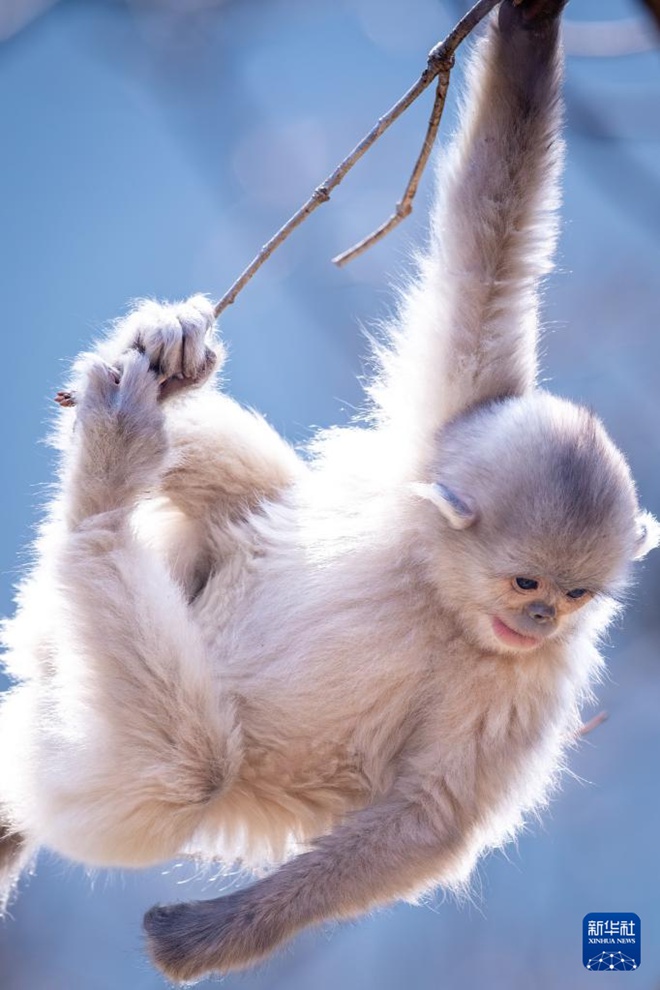 ????? ??? ?????? ???????? [3? 10? ??/?? ??: ???]