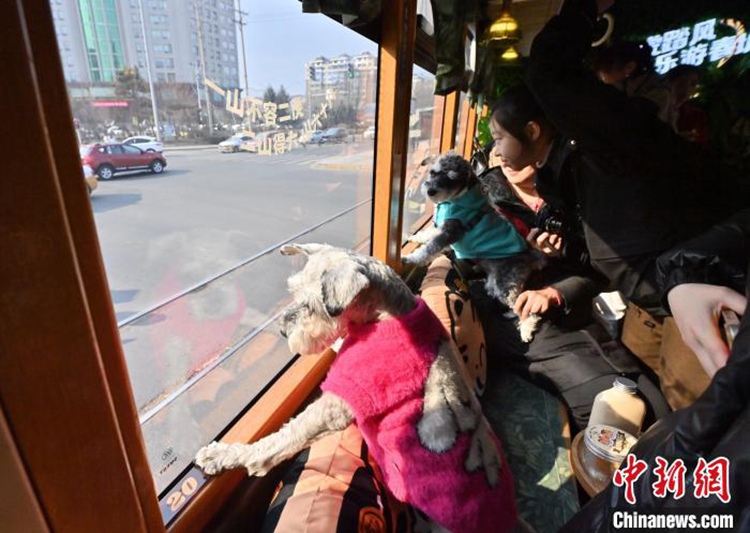 ?? ???? ????? ??? ?? ??? ?? ??? ???? ??. [3? 16? ??/?? ??: ?????]