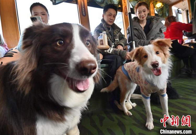 ?? ???? ?????? ?? ??? ?? ??. [3? 16? ??/?? ??: ?????]