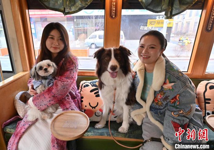 ?? ???? ?????? ?? ??? ???? ??. [3? 16? ??/?? ??: ?????]