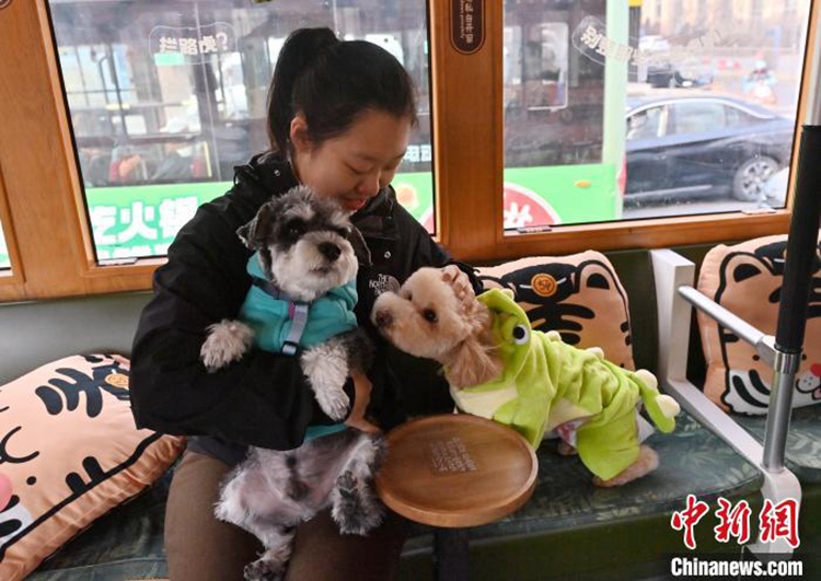 ?? ???? ?????? ?? ??? ???? ???? ??. [3? 16? ??/?? ??: ?????]