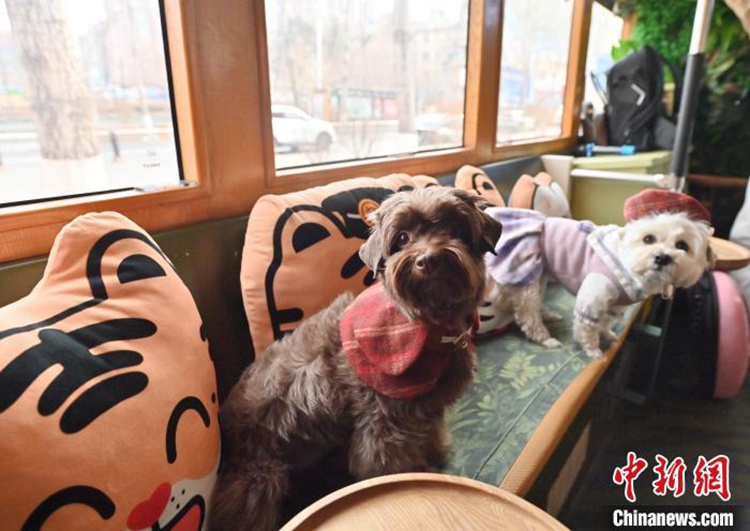 ?? ???? ?????? ?? ??? ???? ??. [3? 16? ??/?? ??: ?????]